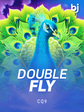 Double Fly thumbnail